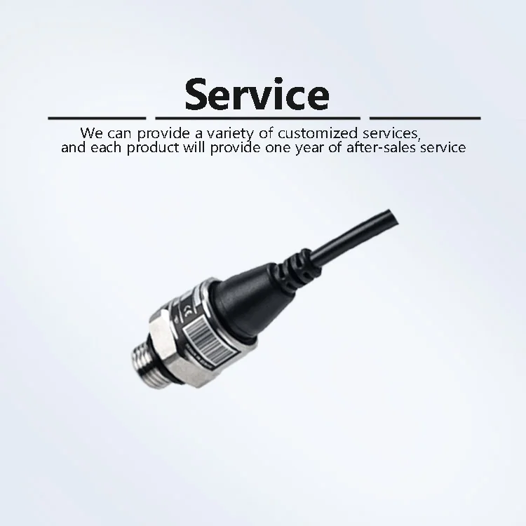 PT-505 Water Treatment Pressure Transmitter - Industrial Pressure Transmitter